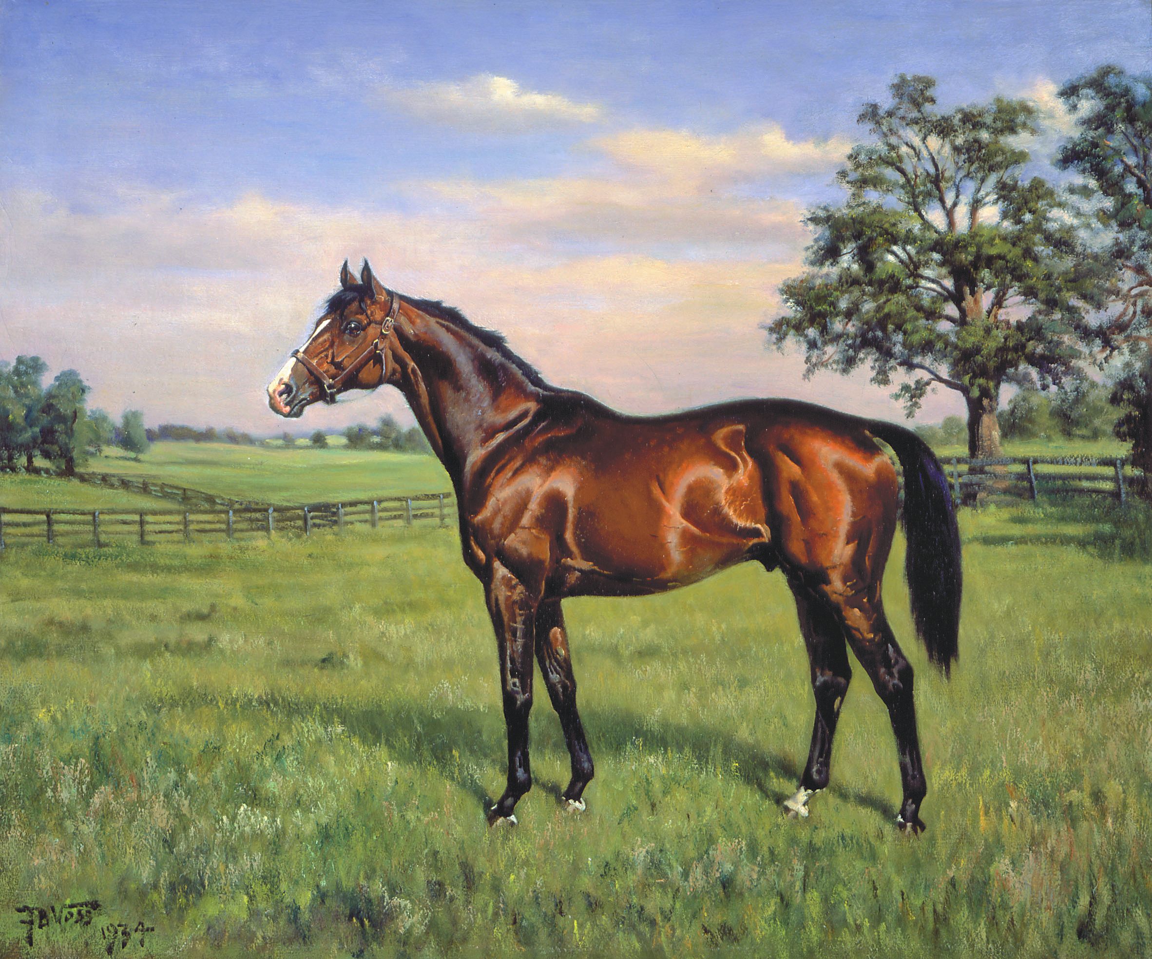 Gallant Fox (KY) National Museum of Racing and Hall of Fame